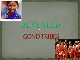 GONDS REVEALED: A Look at India's ...