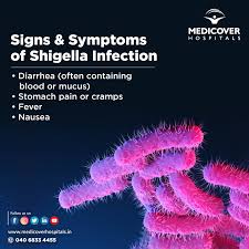 Image result for Shigella