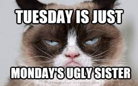 Sharing some crazy and hilarious tuesday morning funny quotes sayings, pictures and images to tickle your funny bone! Funny Tuesday Quotes To Be Happy On Tuesday Morning Tuesday Quotes Funny Morning Quotes Funny Happy Tuesday Quotes