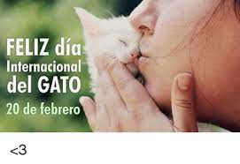 5 libros para celebrar el día internacional del gato. Feliz Dia Internacional Del Gato 20 De Febrero 3 Meme On Me Me