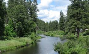 The river runs through the park property with one of the best and deepest swimming holes on the north fork, a favorite hangout for guests. Riversedge Graeagle Area Rv Parks Camping Spots California Travel