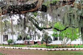 Check spelling or type a new query. Tripadvisor Hilton Head Honey Horn Admission With Guided Tour Provided By Coastal Discovery Museum Coastal South Carolina