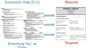 Cv Template Vs Resume Resume Examples Cv Template Resume Resume Examples