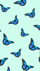 Sign in to check out what your friends. Aesthetic Butterfly Wallpapers Wallpaper Cave