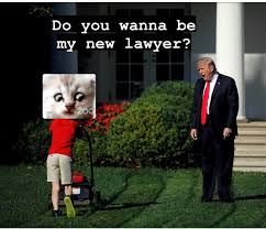 As his assistant tried to rectify the issue, he can be heard. I Am Not A Cat Zoom Cat Lawyer I M Not A Cat Know Your Meme