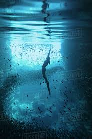 Image result for royalty free images of the ocean
