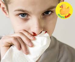 Apariţia cazurilor repetate de epistaxis la copii se vindecă cu ceai de traista ciobanului. Sangerarile Nazale La Copii Desprecopii Com