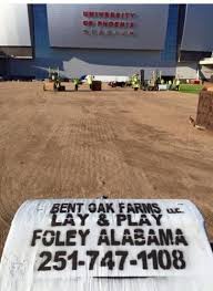 All of our sod is locally grown in the charlotte, north carolina area. Super Bowl Xlix Turf Has Alabama Roots Made In Alabama Alabama Department Of Commerce
