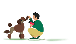 Find the cheapest pet insurance quotes in your area pet insurance is meant to protect o. Dog And Puppy Insurance Quotes More Than