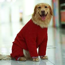 Kislik Pijama Tulum Kanis Bichon Pug Giysi Golden Retriever Husky Labrador Buyuk Kopek Giysileri Buyuk Pet Kiyafet Giyim Yorki Kopek Mont Ve Ceketleri Aliexpress