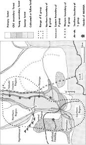 Image result for Leptonychia tokana