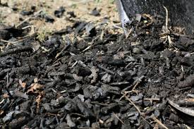 First steam is burned off, evidenced through white smoke. What Is Biochar And How To Create It In Your Garden Hgtv