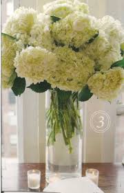 Check spelling or type a new query. White Hydrangea Vase Arrangement Vase Arrangements Hydrangea Vase Reception Flowers