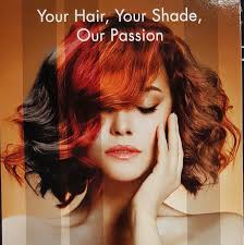 Profile for Sebastian Marks Hair Design