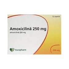 Amoxicilină atb 500 mg, capsule capsule gelatinoase tari, mărimea 0, cu cap de culoare roşu opac şi corp de culoare alb opac. Amoxicilina 250 Mg Prospect Si Pret Efarma