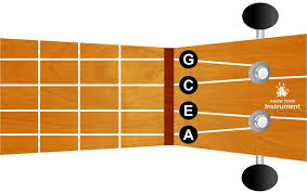 Check out this video to get familiar. Basic Ukulele Chords For Beginners Know Your Instrument