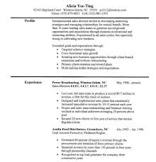 sales resume examples skills - April.onthemarch.co