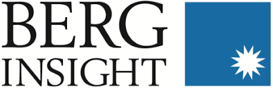 berginsight.com logo