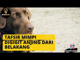 Karena bila kita tafsirkan menurut ilmu. Arti Mimpi Digigit Anjing Dari Belakang Youtube
