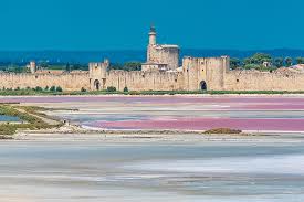 La Camargue Gardoise Autour D Aigues Mortes Idees Week End Languedoc Roussillon Routard Com