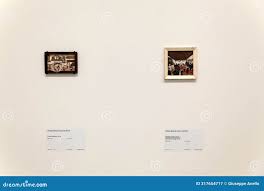 Bildergebnis für Rosa Elena Curruchich