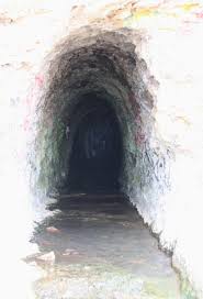 Maybe you would like to learn more about one of these? Panther Beach Santa Cruz Ca California Beaches