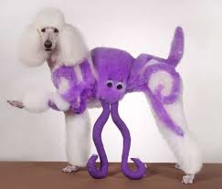 Worst Dog Haircuts Ever Dog Haircuts Dog Grooming Poodle Haircut