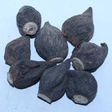Maybe you would like to learn more about one of these? Brown Organic High John The Conqueror Jalap Root Packaging Type Packet Rs 5500 Kg Id 22744120933