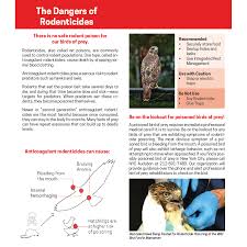 On average hick takes two falcons and one hawk for pest control in an. Nyc Audubon