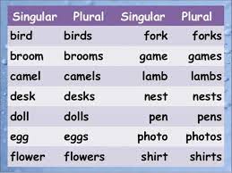 The definition of plural noun is the form of a word that refers to more than one person or thing. Singular And Plural Nouns Definitions Rules Examples Eslbuzz Learning English