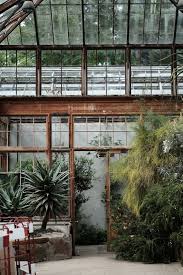 An Inside Look At A Glass House Garden In Cambridge Botanic Garden Hills Road Entrance Botanischer Garten Tropische Pflanzen Fenster Fotografie