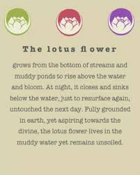 Pin By Elizabeth Young On My Spiritual Side Quotes Spirituality Lotus Flower Meaning