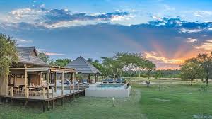 Great But Carefull About The Expectations Review Of Nkorho Bush Lodge Sabi Sand Game Reserve South Africa Tripadvisor