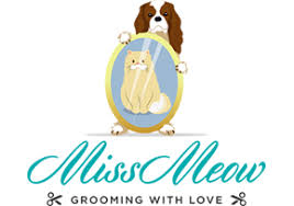 The grooming activities are supposed to provide a smooth flow of life for the pet. Pet Grooming Salon In Dubai Dogs Grooming Dubai Cats Grooming Dubai