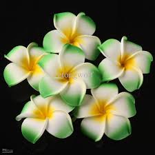 See your favorite flower camellia and grape leaves discounted & on sale. Pin On Flowers
