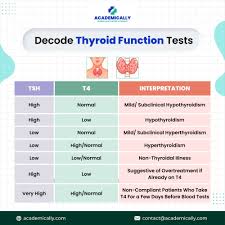 Image result for Thyroid Function Test