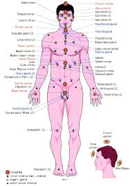Esoteric Centers Of The Body In Relation To The Organs