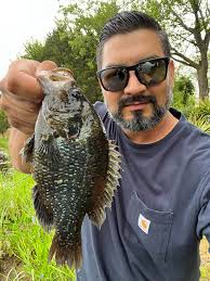 What type of fish has a warmouth body with extra colors and yellow bottom  fins?