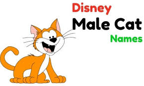 A good name for a black and white cat.based on looney tunes cartoons. 500 Male Cat Names Which Are Most Popular