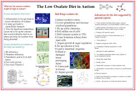 Oxalates Autism And More Powerful Patient