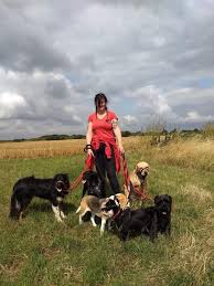 Norman's Dog Day Care