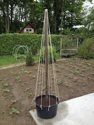 This Looks Like A Way To Grow Gardening Tips In 2020 Gitter Garten Garten Diy Gartendekoration