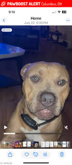 Family photo at McCullough Park