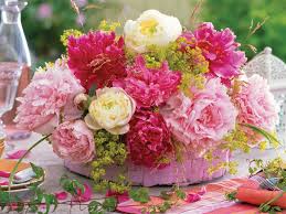 Free Download Beautiful Flower Wallpapers Nature Flower Wallpapers Hd Flower 1024x768 For Your Desktop Mobile Tablet Explore 50 Most Beautiful Nature Wallpaper Flowers Beautiful Rose Flowers Wallpapers Beautiful Flowers Spring mobile wallpaper hd hd nature wallpapers landscape. beautiful rose flowers wallpapers