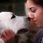 How Can I Get My Dog to Be a Registered Service Dog?