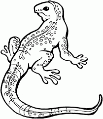 Gecko coloring page cartoon clipart of an outlined cute amorous lizard coloring page of pages lizards twin lizard coloring template. Free Printable Lizard Coloring Pages For Kids Lizard Coloring Pages Cartoon Lizard Coloring Pages For Kids