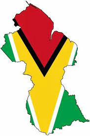 I Want The Guyana Map With The Flag S Color For A Tattoo Guyana Tattoo Blue Poster South America Map