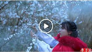 梅花开的时候突然降温 赶上这场春雪 过年吃腻大鱼大肉 做了些榨菜去去油腻花生捣碎煮上一锅热粥 应个景做了梅花酥 再配上一碟榨菜嗯 完美早餐啊 kids website