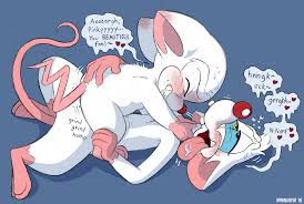 Rule34 - If it exists, there is porn of it  brainsister, pinky, the brain   2226441