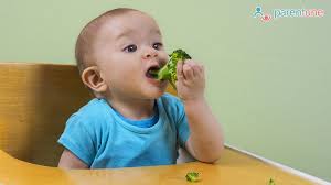 Skip the highly processed finger foods and go for nutritious recipes. Parentune 10 Finger Foods For 7 Month Old With No Teeth